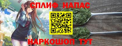 МДПВ Будённовск