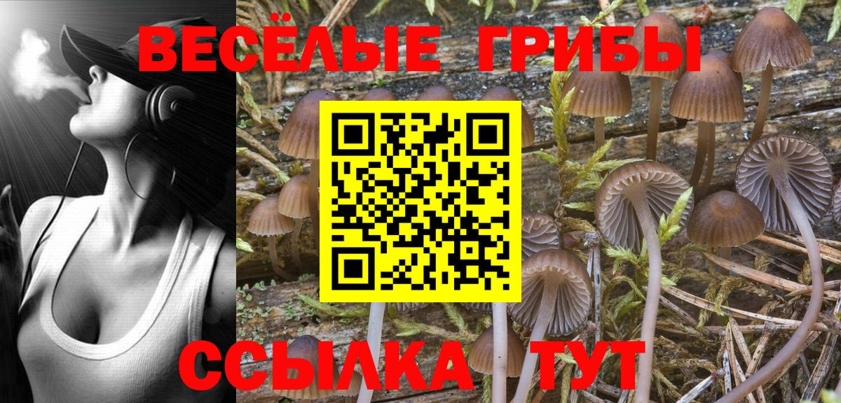 Ноябрьск  Галлюциногенные грибы MAGIC MUSHROOMS  Галлюциногенные грибы Psilocybe  Вход с VPN 